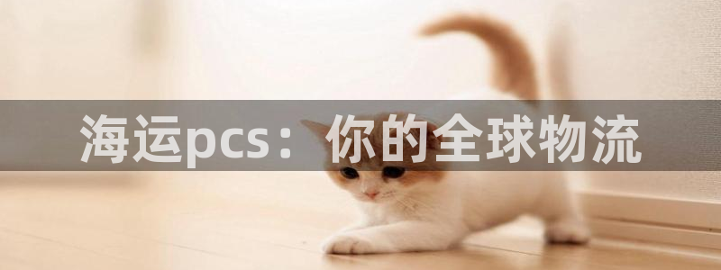 欢迎来到公赌船