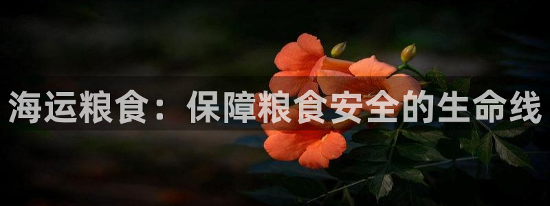 在公海赌博不违法吗