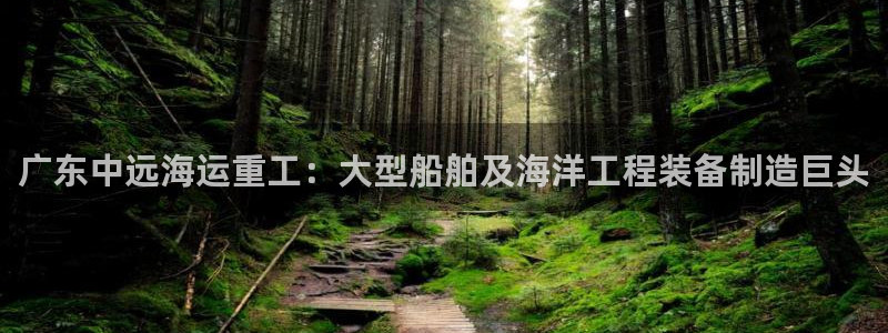 欢迎来到赌船公海710